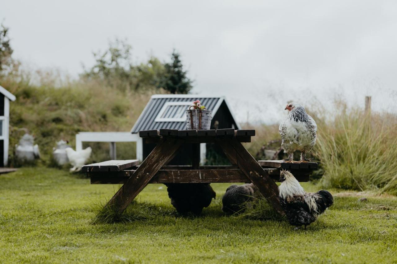 Brunastathir Holiday Home Barð エクステリア 写真
