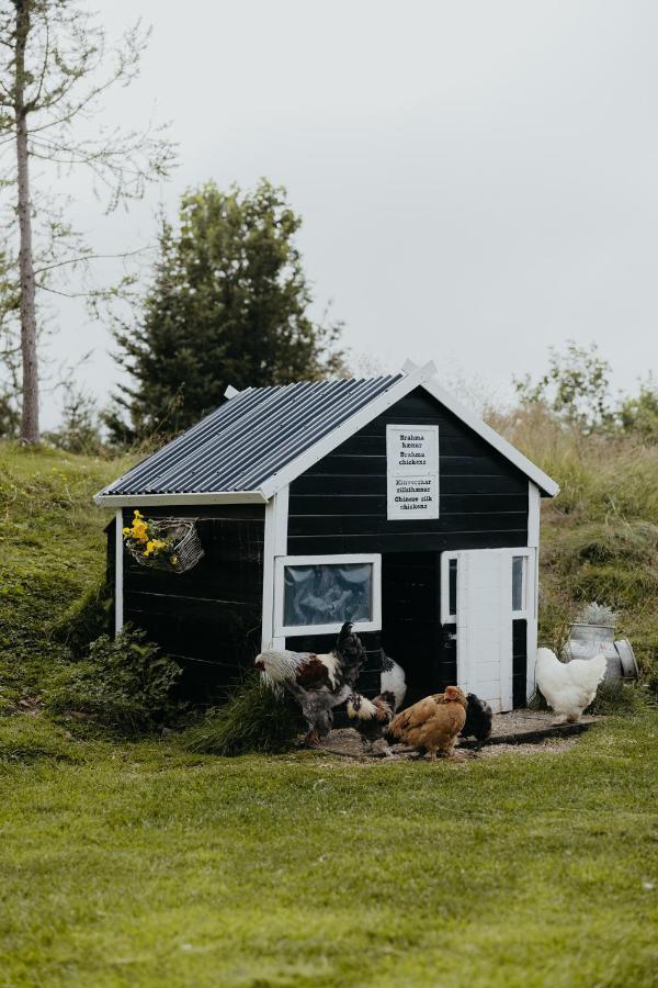 Brunastathir Holiday Home Barð エクステリア 写真