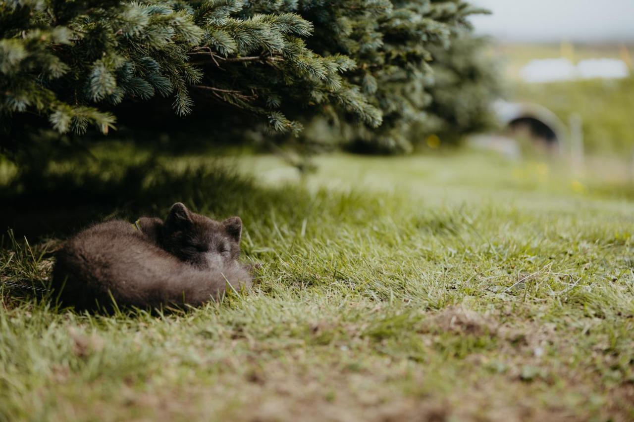 Brunastathir Holiday Home Barð エクステリア 写真