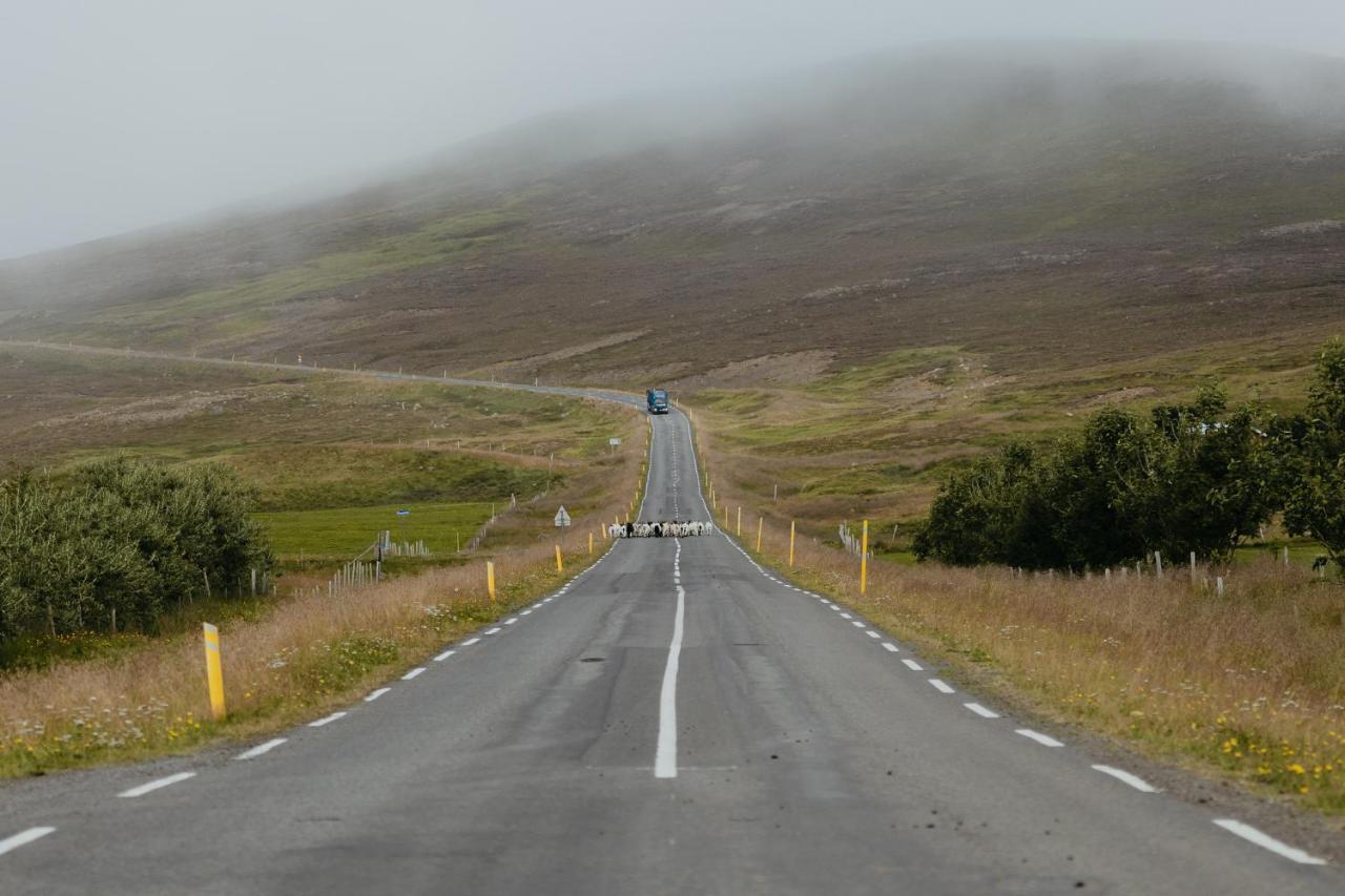 Brunastathir Holiday Home Barð エクステリア 写真
