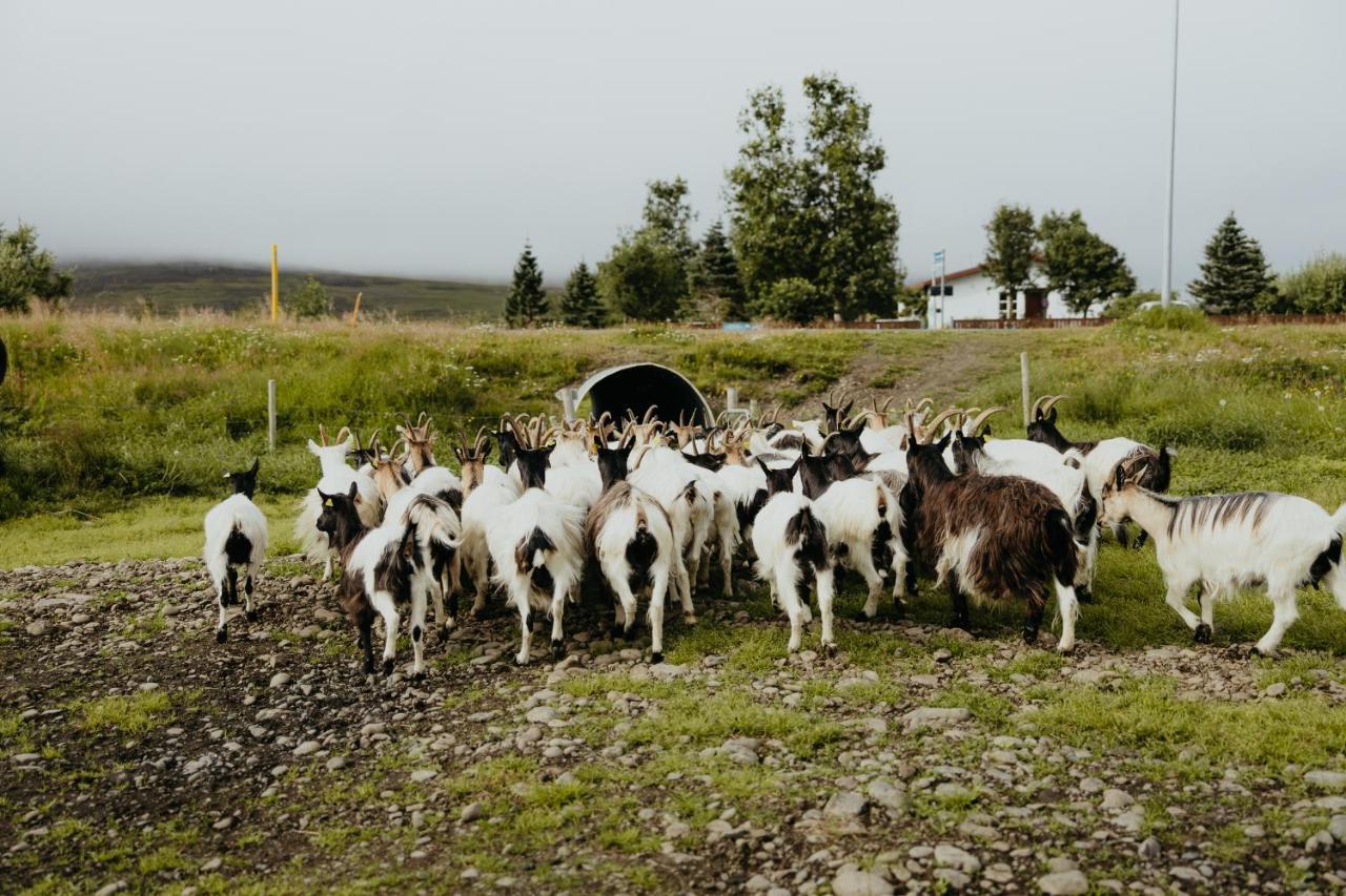 Brunastathir Holiday Home Barð エクステリア 写真