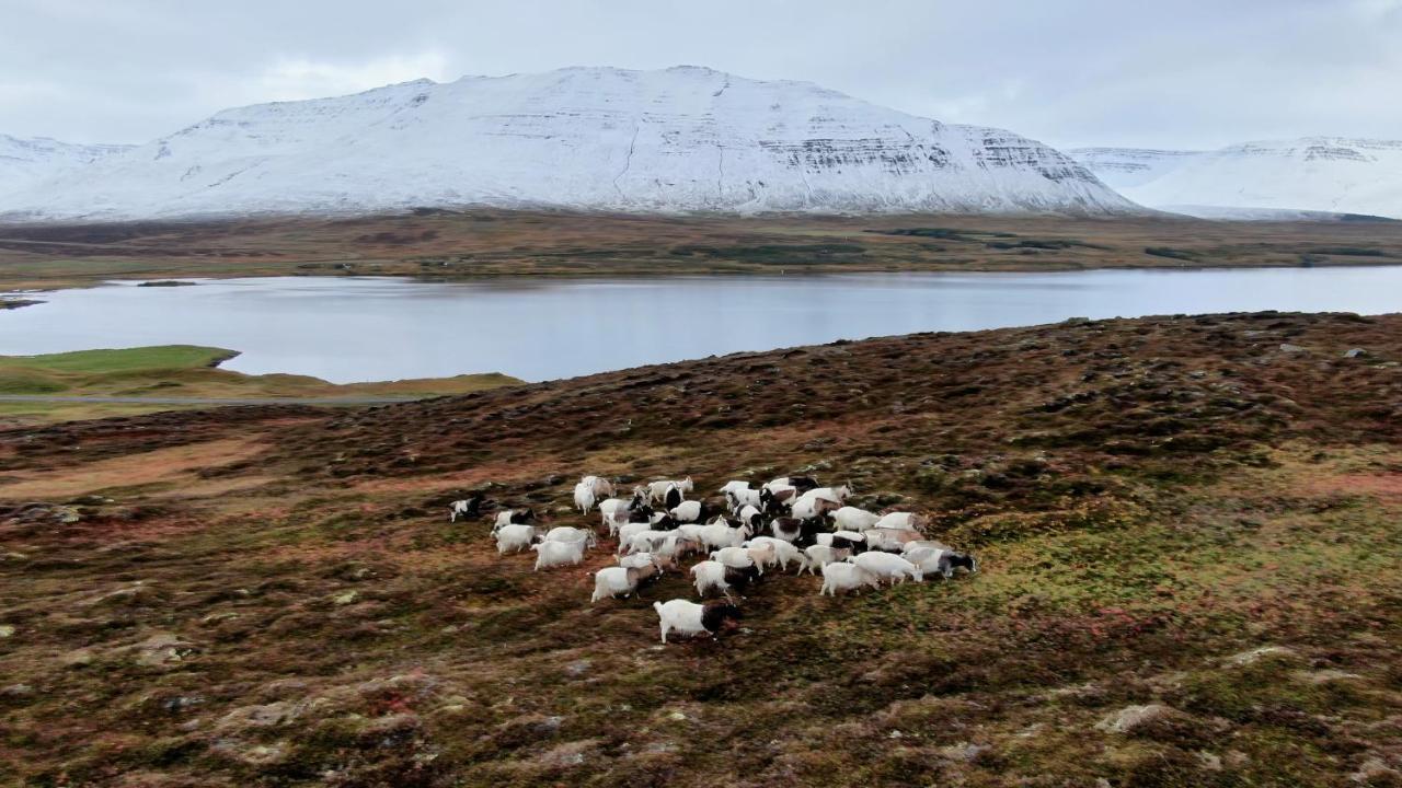 Brunastathir Holiday Home Barð エクステリア 写真